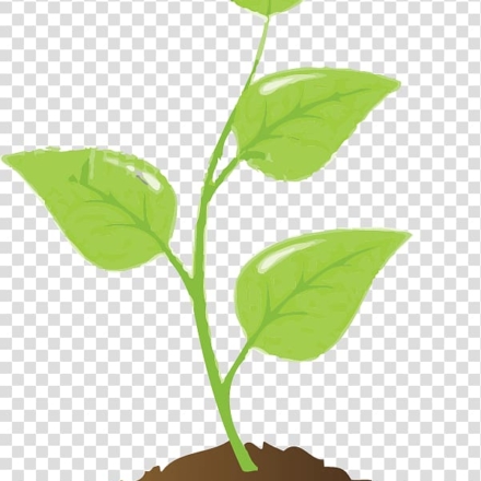 plant-and-soil-seedling-clip-art-young
